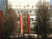 Imagine atasata: Openville - 2019.02.17 - 28.jpg
